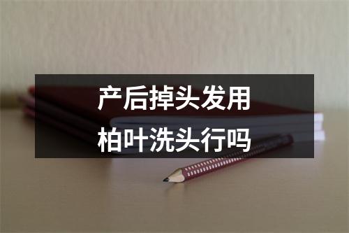 产后掉头发用柏叶洗头行吗