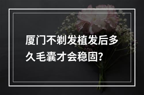 厦门不剃发植发后多久毛囊才会稳固？