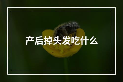 产后掉头发吃什么