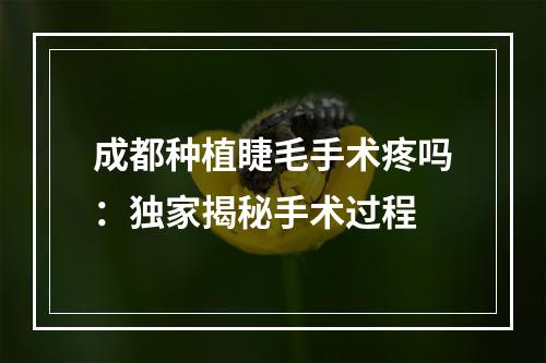 成都种植睫毛手术疼吗：独家揭秘手术过程