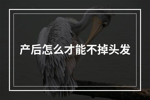 产后怎么才能不掉头发