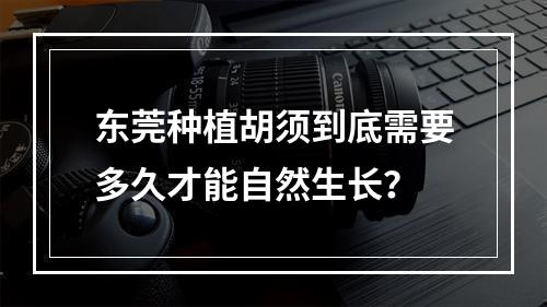 东莞种植胡须到底需要多久才能自然生长？