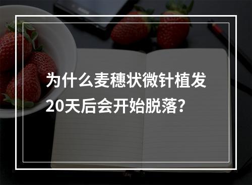 为什么麦穗状微针植发20天后会开始脱落？