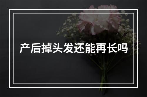 产后掉头发还能再长吗