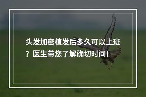 头发加密植发后多久可以上班？医生带您了解确切时间！