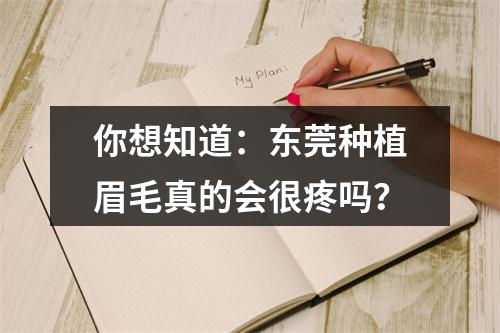 你想知道：东莞种植眉毛真的会很疼吗？