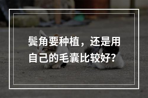 鬓角要种植，还是用自己的毛囊比较好？