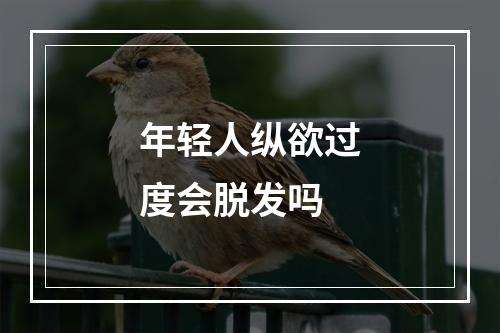 年轻人纵欲过度会脱发吗