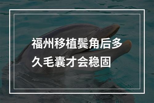 福州移植鬓角后多久毛囊才会稳固