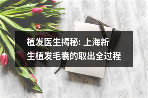 植发医生揭秘: 上海新生植发毛囊的取出全过程