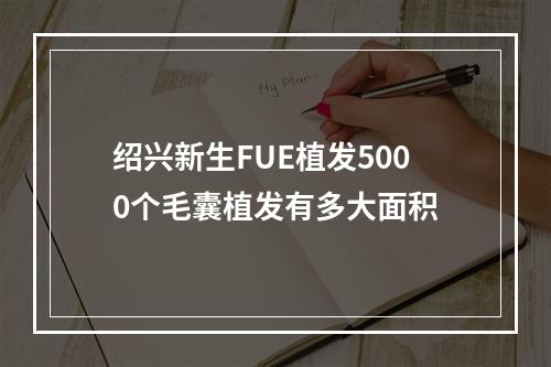 绍兴新生FUE植发5000个毛囊植发有多大面积