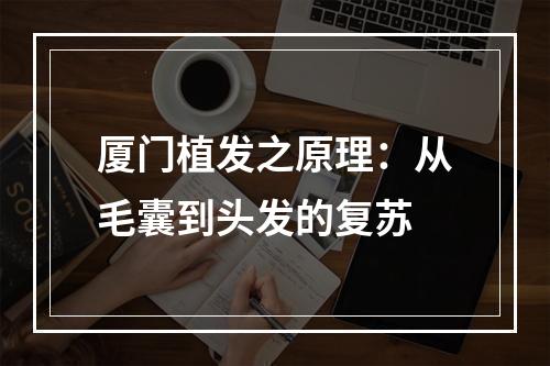 厦门植发之原理：从毛囊到头发的复苏