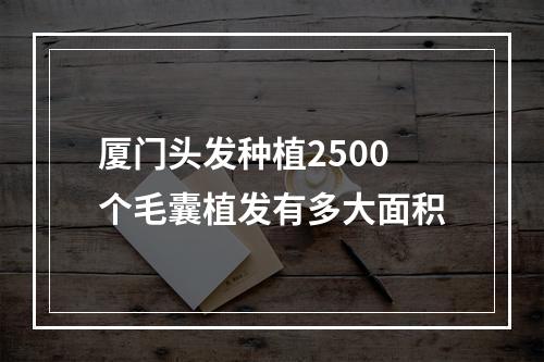 厦门头发种植2500个毛囊植发有多大面积