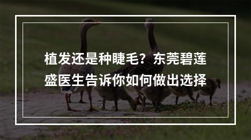 植发还是种睫毛？东莞碧莲盛医生告诉你如何做出选择