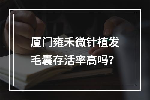 厦门雍禾微针植发毛囊存活率高吗？