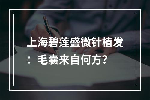 上海碧莲盛微针植发：毛囊来自何方？