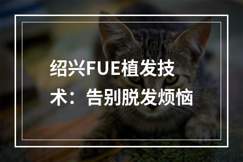 绍兴FUE植发技术：告别脱发烦恼