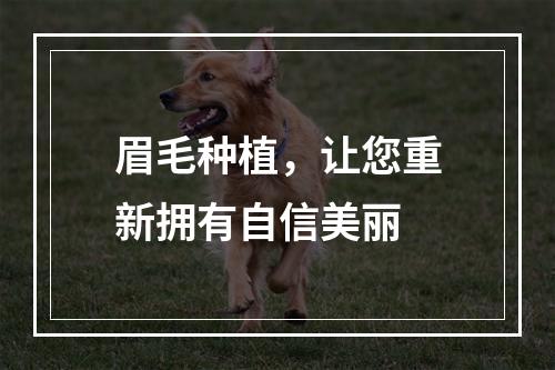 眉毛种植，让您重新拥有自信美丽