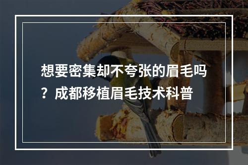 想要密集却不夸张的眉毛吗？成都移植眉毛技术科普