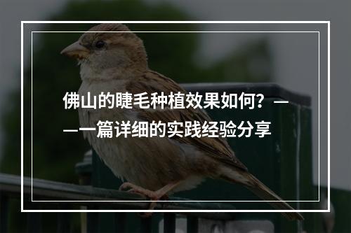 佛山的睫毛种植效果如何？——一篇详细的实践经验分享