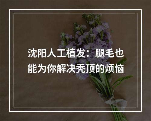 沈阳人工植发：腿毛也能为你解决秃顶的烦恼