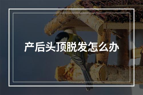 产后头顶脱发怎么办