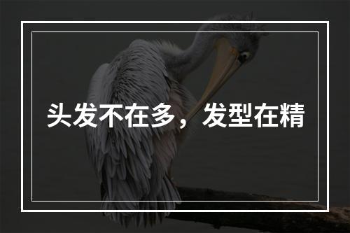 头发不在多，发型在精