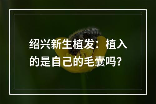 绍兴新生植发：植入的是自己的毛囊吗？