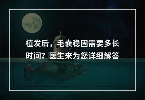 植发后，毛囊稳固需要多长时间？医生来为您详细解答