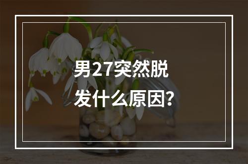 男27突然脱发什么原因？