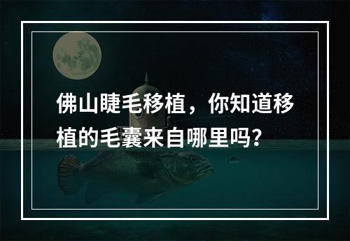 佛山睫毛移植，你知道移植的毛囊来自哪里吗？