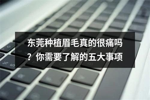 东莞种植眉毛真的很痛吗？你需要了解的五大事项