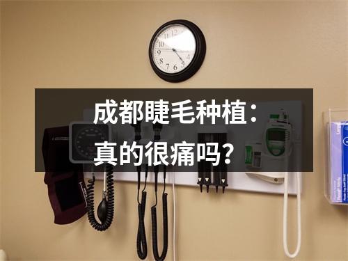 成都睫毛种植：真的很痛吗？