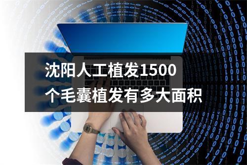 沈阳人工植发1500个毛囊植发有多大面积