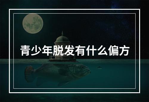 青少年脱发有什么偏方