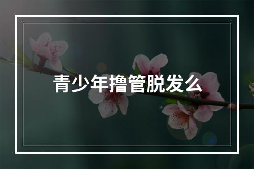 青少年撸管脱发么