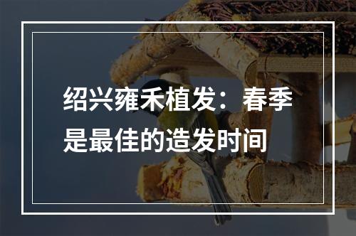 绍兴雍禾植发：春季是最佳的造发时间