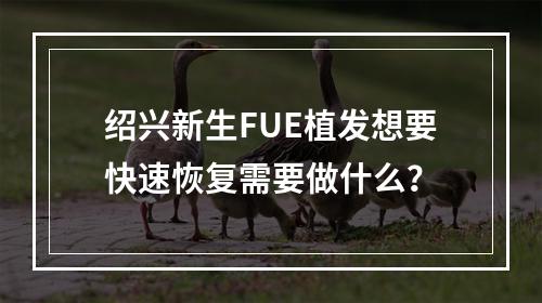 绍兴新生FUE植发想要快速恢复需要做什么？