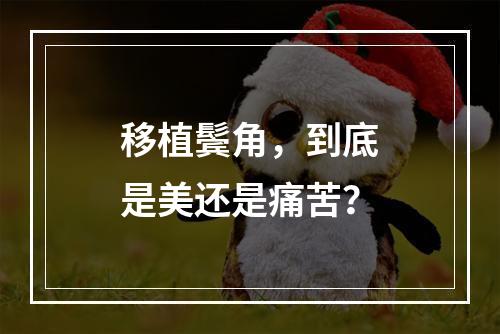 移植鬓角，到底是美还是痛苦？