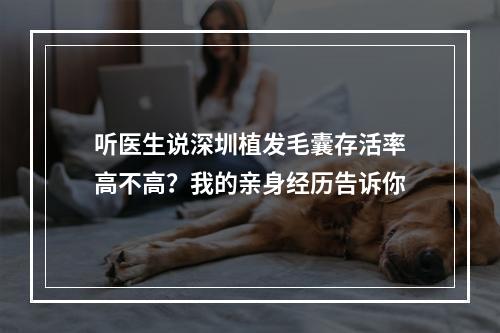 听医生说深圳植发毛囊存活率高不高？我的亲身经历告诉你