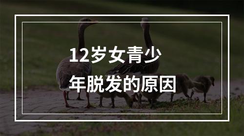 12岁女青少年脱发的原因