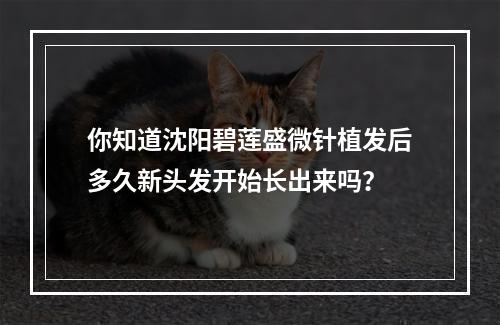 你知道沈阳碧莲盛微针植发后多久新头发开始长出来吗？