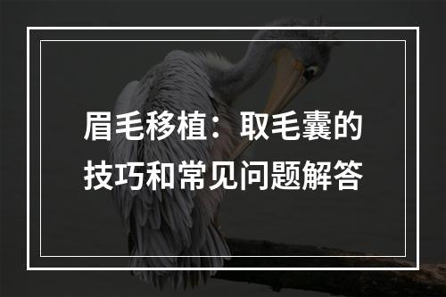 眉毛移植：取毛囊的技巧和常见问题解答