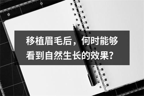 移植眉毛后，何时能够看到自然生长的效果？