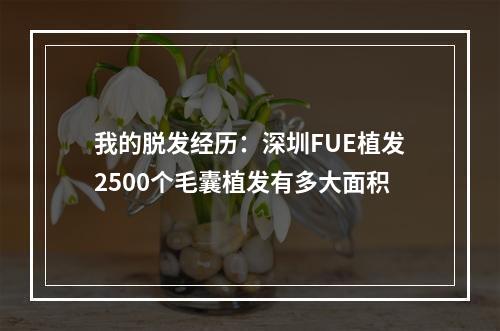 我的脱发经历：深圳FUE植发2500个毛囊植发有多大面积