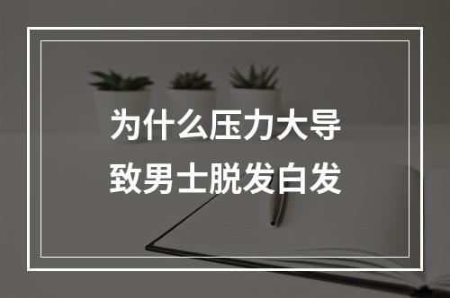 为什么压力大导致男士脱发白发