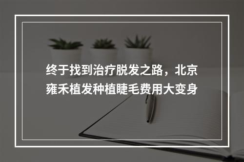 终于找到治疗脱发之路，北京雍禾植发种植睫毛费用大变身