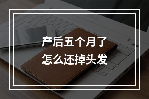 产后五个月了怎么还掉头发