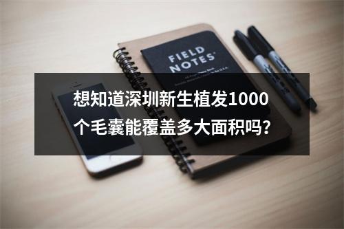 想知道深圳新生植发1000个毛囊能覆盖多大面积吗？