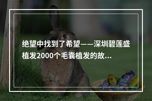 绝望中找到了希望——深圳碧莲盛植发2000个毛囊植发的故事